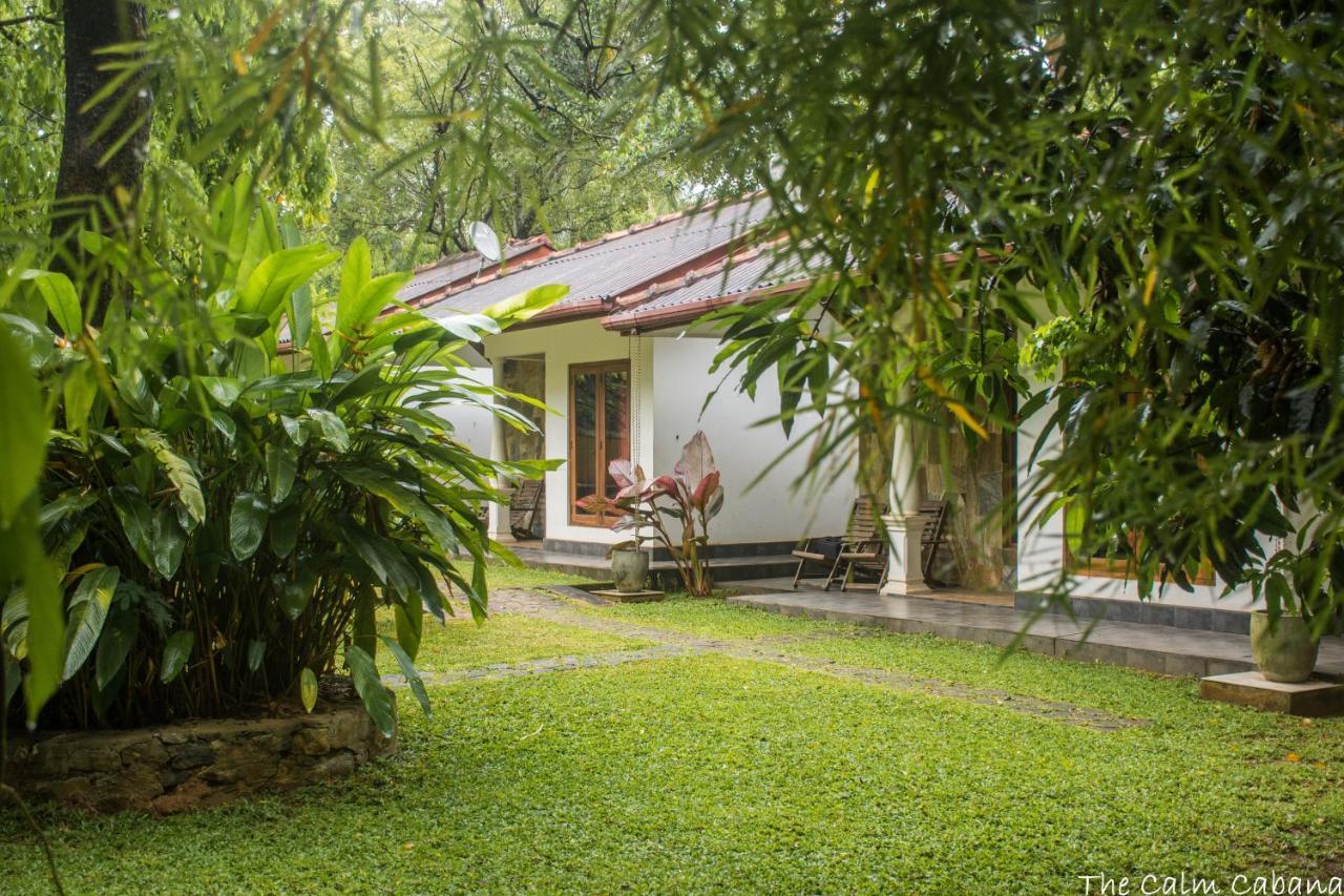 The Calm Cabana Dambulla Exteriér fotografie