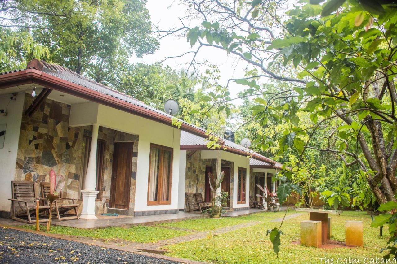 The Calm Cabana Dambulla Exteriér fotografie